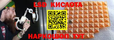 прущие грибы Кунгур