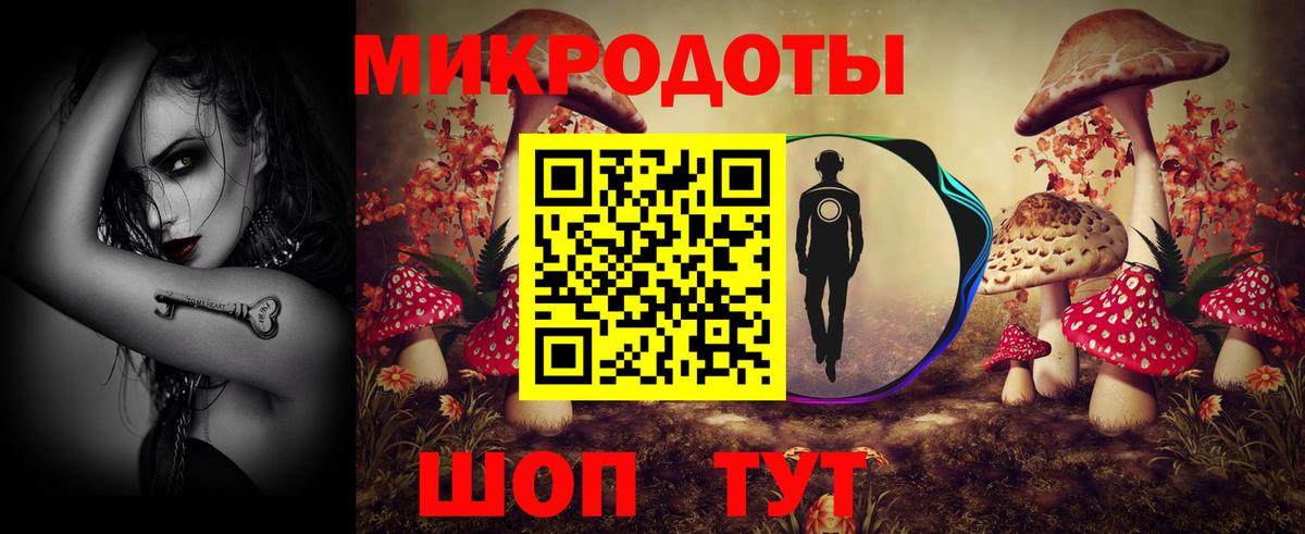 Псилоцибиновые грибы Psilocybe  Вход с VPN  Электрогорск 